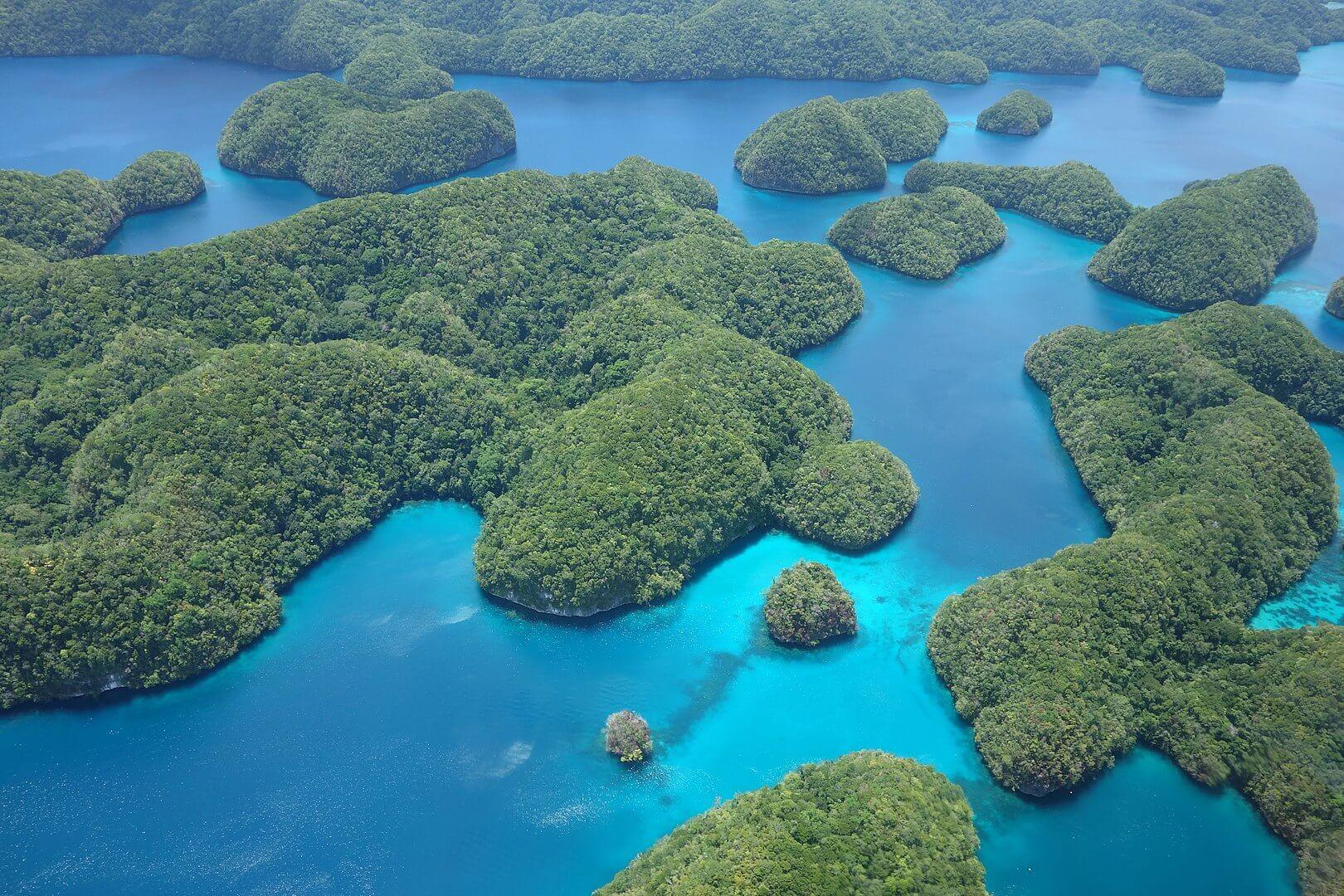Keindahan & Keajaiban Kehidupan Laut Kepulauan Palau