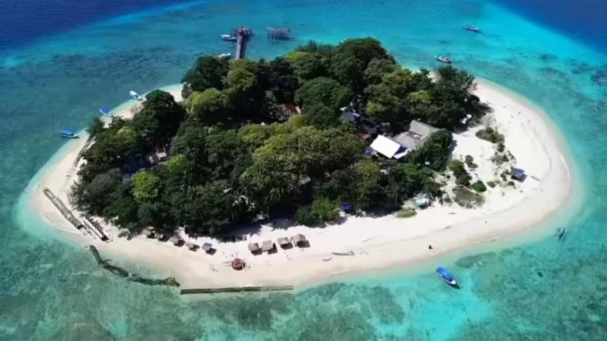 Keindahan Bawah Laut Pulau Samalona